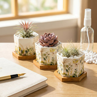 Hexagonal Desk Planters: A Small-Space Guide for 2026
