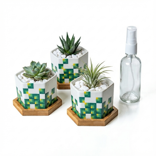 Planter Pots