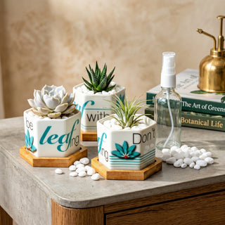 Planter Pots