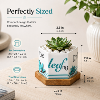 Leaf by leaf giftable hexagon ceramic succulent planters designed by Sylvia Levy, set of 3