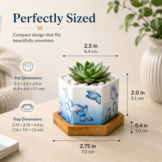 Butterfly Bloom hexagon ceramic planters for a desk, windowsill, or shelf, plants not included