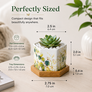 Pastel Foliage giftable hexagon ceramic succulent planters designed by Sylvia Levy, set of 3