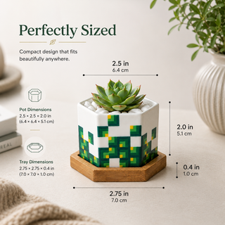 Pixeled Canopy giftable hexagon ceramic succulent planters designed by Sylvia Levy, set of 3