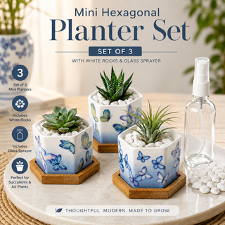 Butterfly Bloom hexagon ceramic planters with drainage holes, sized for small plants and air plants