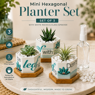 Leaf by leaf hexagon ceramic planter set of 3 with bamboo trays, rocks, and spray bottle