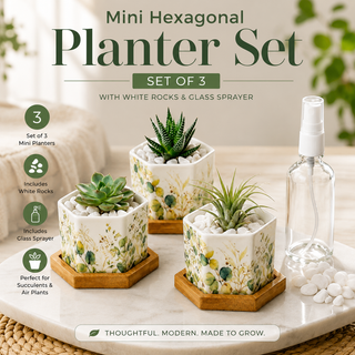 Pastel Foliage hexagon ceramic planter set of 3 with bamboo trays, rocks, and spray bottle