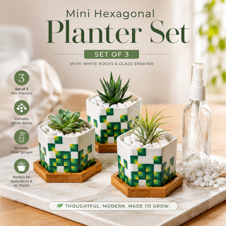 Pixeled Canopy hexagon ceramic planters with drainage holes, sized for small plants and air plants