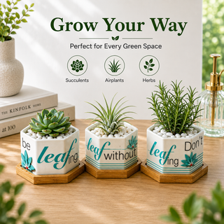 Leaf by leaf hexagon ceramic succulent planters set of 3, white with teal leaf pattern