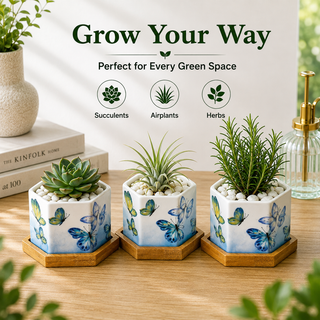 Butterfly Bloom hexagon ceramic succulent planters set of 3, white with blue butterfly bloom pattern