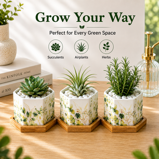 Pastel Foliage hexagon ceramic planters with drainage holes, sized for small plants and air plants