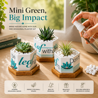 Leaf by leaf hexagon ceramic planters for a desk, windowsill, or shelf, plants not included
