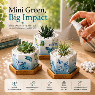 Butterfly Bloom hexagon ceramic planter set of 3 with bamboo trays, rocks, and spray bottle
