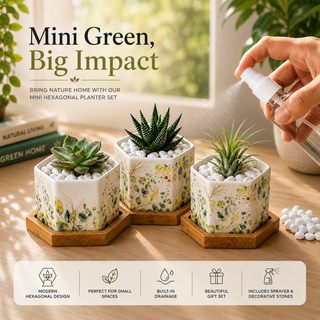 Pastel Foliage hexagon ceramic planters for a desk, windowsill, or shelf, plants not included