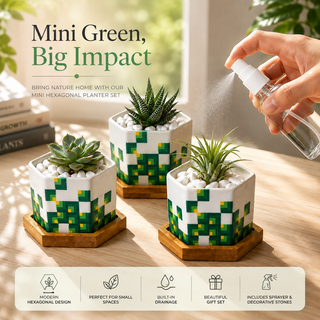 Pixeled Canopy hexagon ceramic planter set of 3 with bamboo trays, rocks, and spray bottle
