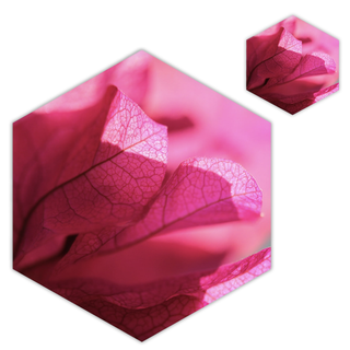 Placemats & Coasters (Set of 12) | Pink Veins