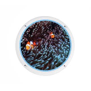 Acrylic Puzzle | Anemone Flow