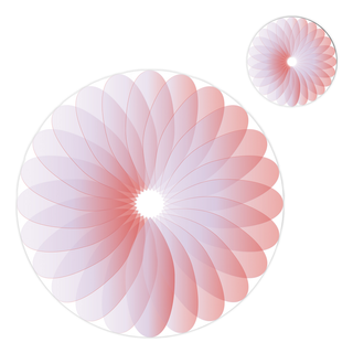 Placemats & Coasters (Set of 12) | Petal Harmony