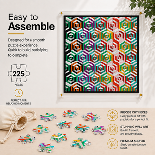 Hexillusion acrylic puzzle with included frame and hanging hardware, ready to hang wall art