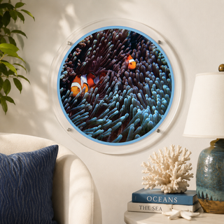 Anemone Flow acrylic wall art puzzle designed by Sylvia Levy, clownfish among sea anemone underwater scene