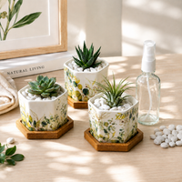 Hexagon Planters (Set of 3) | Pastel Foliage