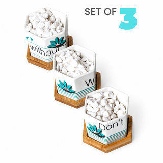 Hexagonal Planters (Set of 3) | Leaf by leaf