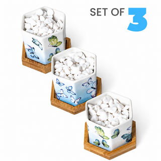 Hexagonal Planters (Set of 3) | Butterfly Bloom