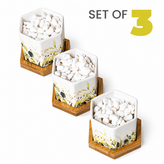 Hexagonal Planters (Set of 3) | Pastel Foliage