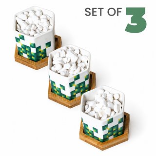 Hexagonal Planters (Set of 3) | Pixeled Canopy