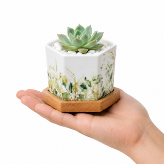 Hand holding a small Pastel Foliage hexagonal ceramic succulent planter showing 2.5 inch size