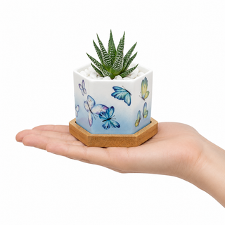 Hand holding a small Butterfly Bloom hexagonal ceramic succulent planter showing 2.5 inch size