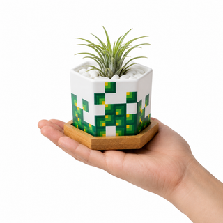 Hand holding a small Pixeled Canopy hexagonal ceramic succulent planter showing 2.5 inch size