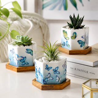 Butterfly Bloom mini hexagonal ceramic planters with succulents on an indoor desk shelf