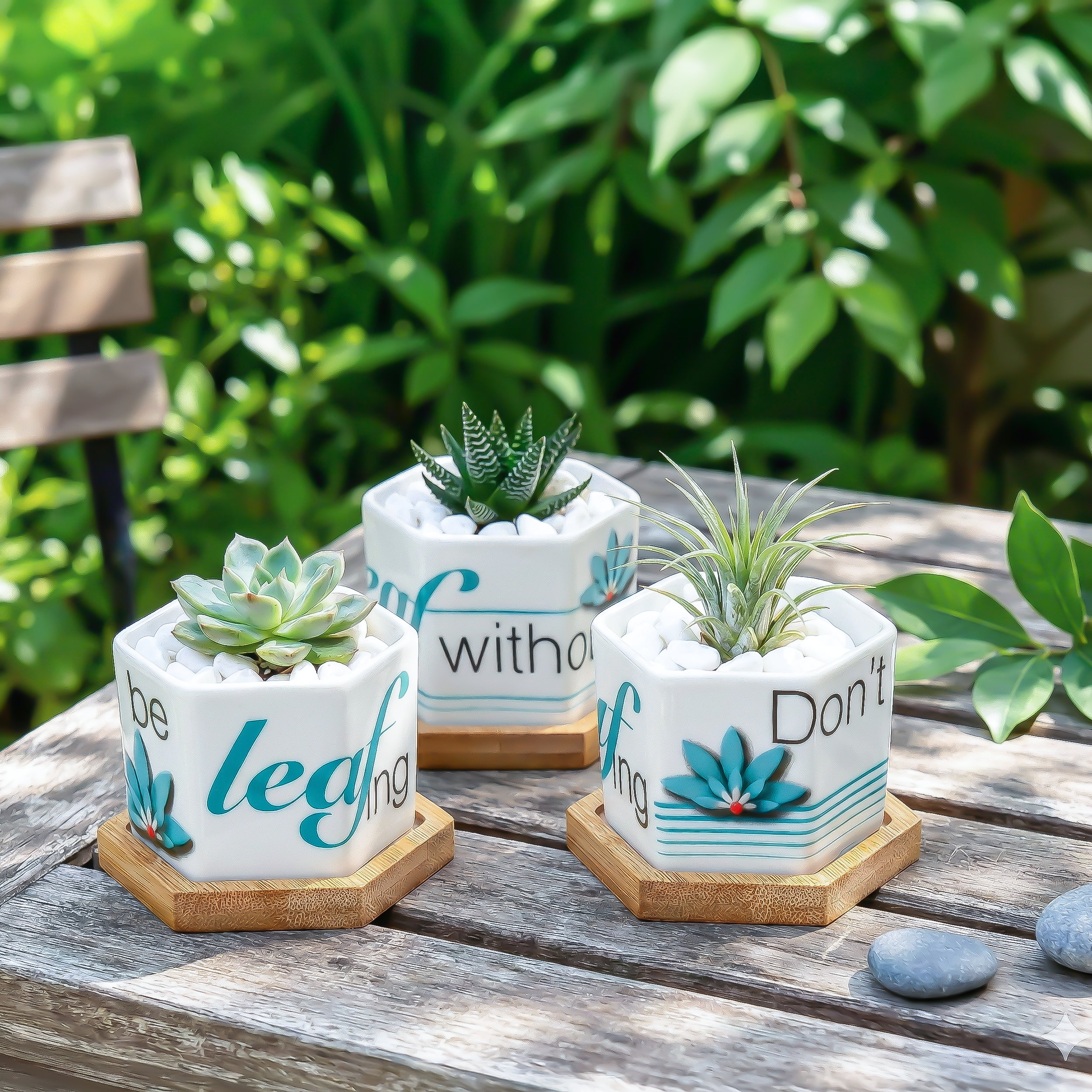 3 succulent pot Hexagonal Planters, Leaf by Leaf | Set of 3