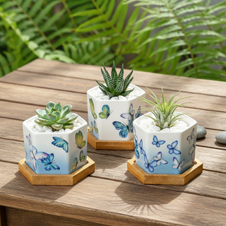 butterfly planter pots Hexagonal Planters (Set of 3)