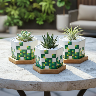 Pixeled Canopy hexagon ceramic planters with succulents styled outdoors on a wooden table