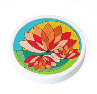 lotus bloom