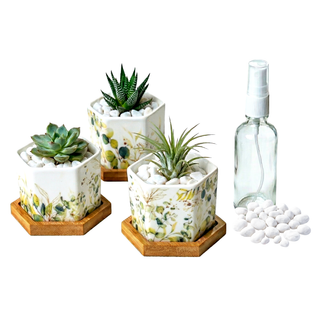 Hexagonal Planters (Set of 3) | Pastel Foliage