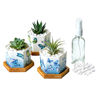 Hexagonal Planters (Set of 3) | Butterfly Bloom