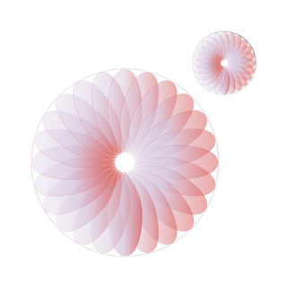 petal harmony