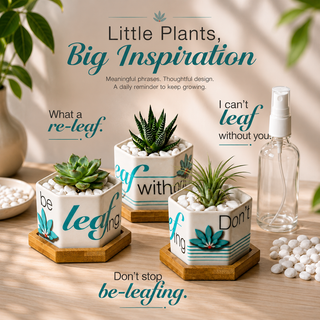 Leaf by leaf hexagon ceramic planters with drainage holes, sized for small plants and air plants