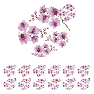 Placemats & Coasters (Set of 12) | Orchid Reverie