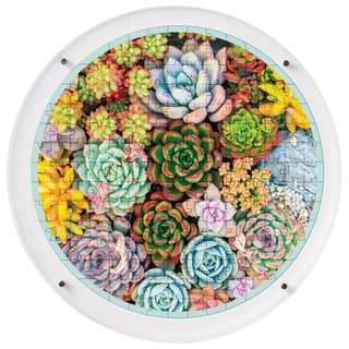 Botanical Bloom hangable acrylic puzzle wall art, round 14 inch round, colorful succulent garden