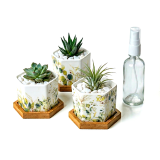 Hexagonal Planters (Set of 3) | Pastel Foliage