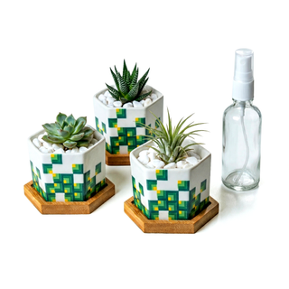 Hexagonal Planters (Set of 3) | Pixeled Canopy
