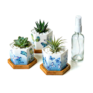 Hexagonal Planters (Set of 3) | Butterfly Bloom