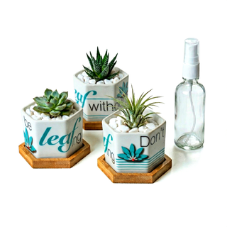 Hexagonal Planters (Set of 3) | Leaf by leaf